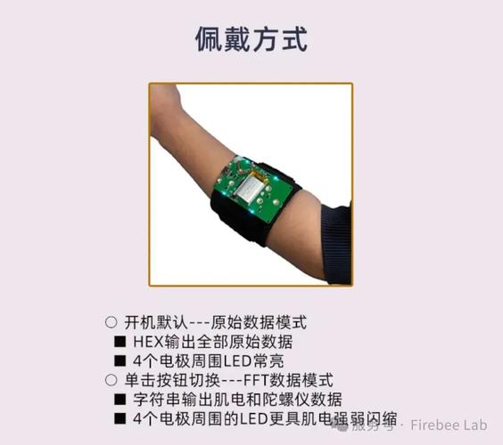可穿戴肌电交互臂环穿戴展示图