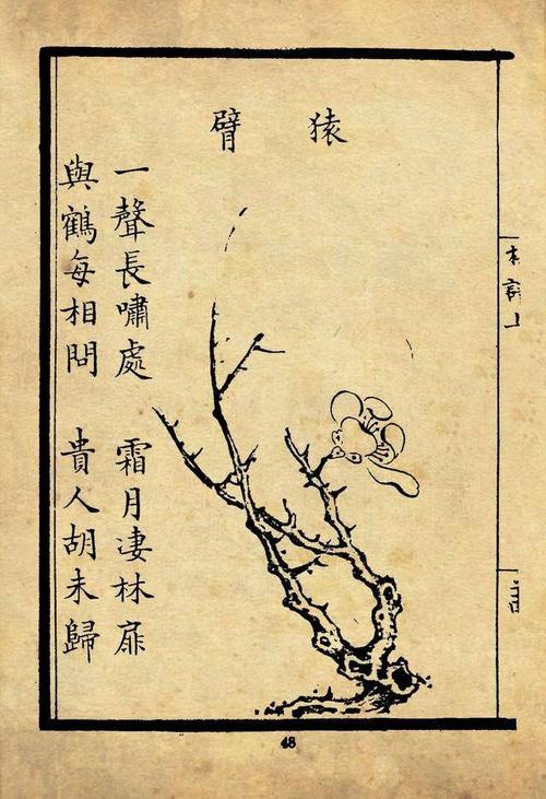 南宋宋伯仁梅花喜神谱百态图