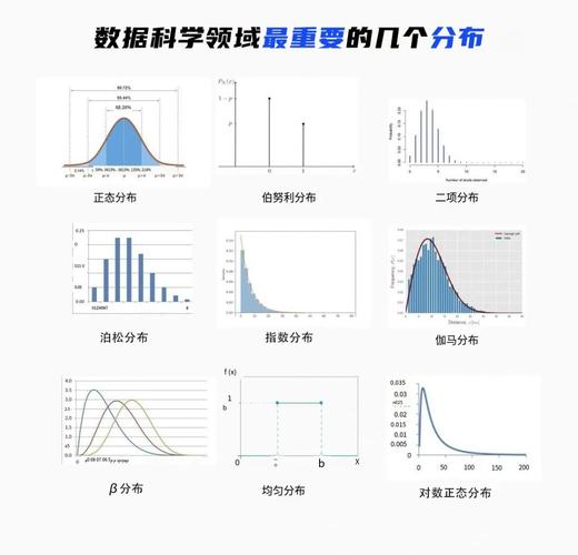 大模型算法参数概率分布可视化图