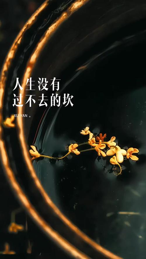 你没接触过,但生活里全离不开它