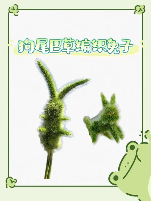 儿童用狗尾巴草编小兔子手工实拍