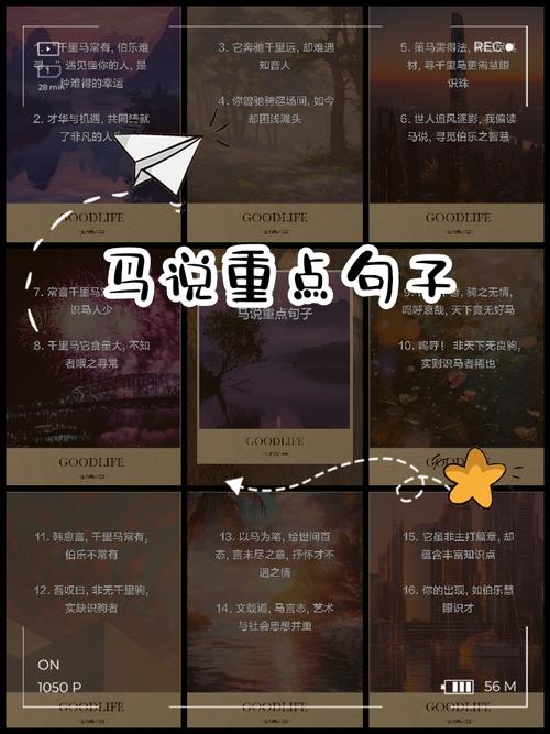 与一匹马的沉默对话