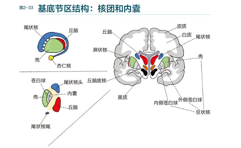 我花了三年才搞懂，习惯这玩意儿根本就不是靠坚持-大讲堂