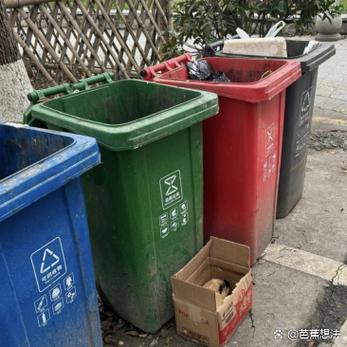 把“早起”这个目标先扔进垃圾桶