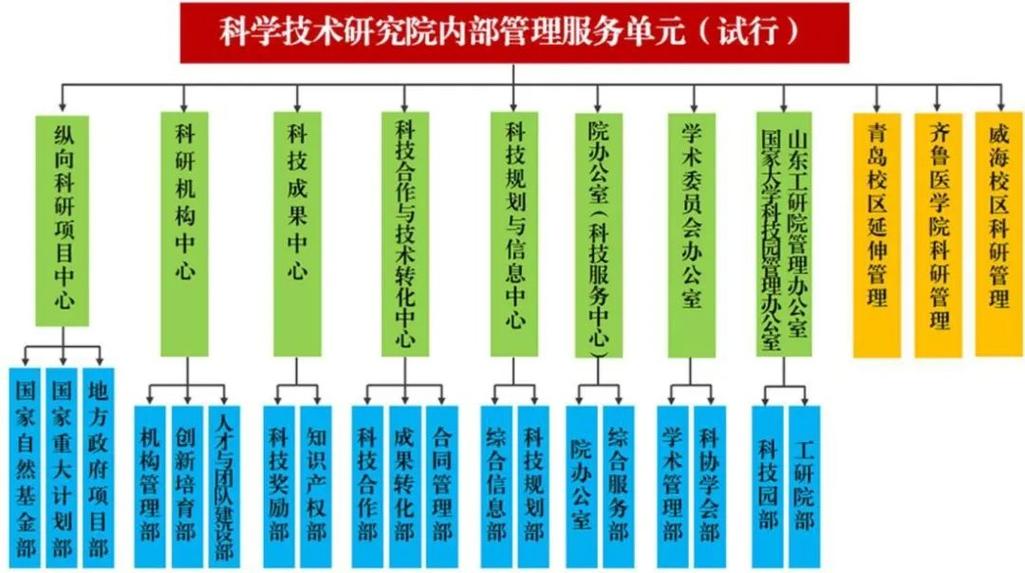高校技术成果转化生态系统角色关系图