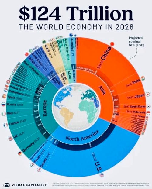 四、看不完的数据盛宴：Visual Capitalist