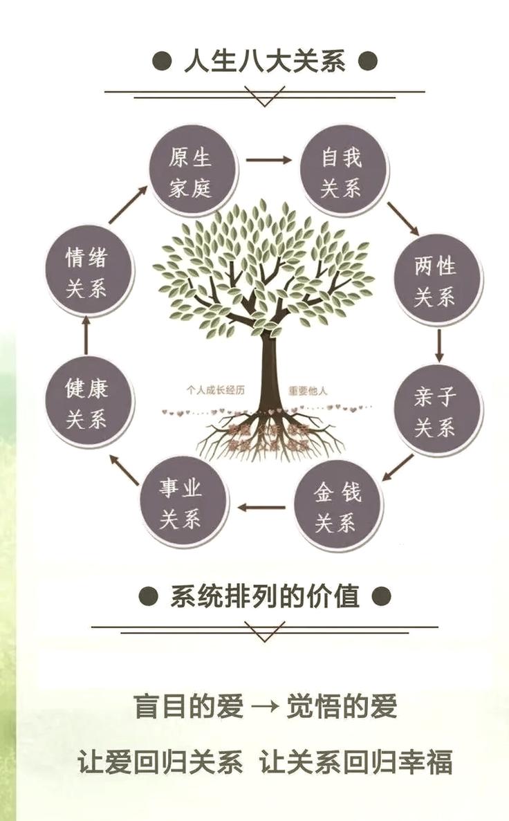 家族系统排列 现场 代表 移动 图