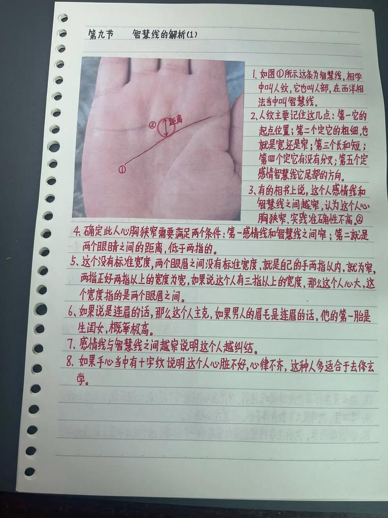 宝宝手掌智慧线遗传特征记录