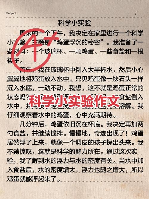 当孩子参与进来，神奇的事发生了