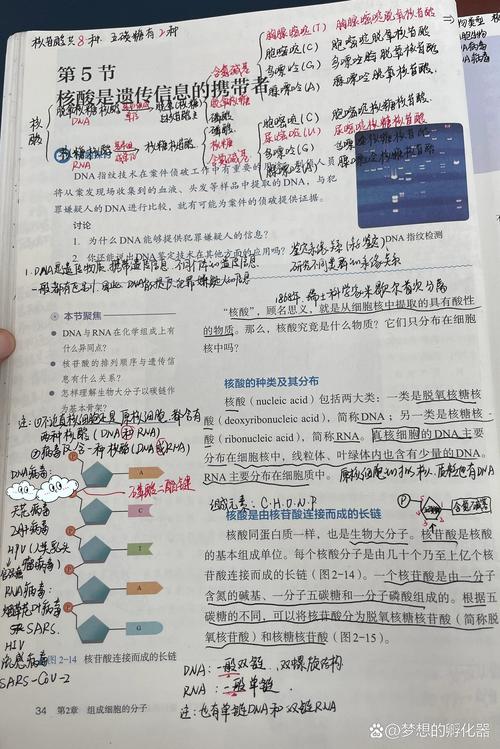 高考生物课本必修一详细笔记页面展示