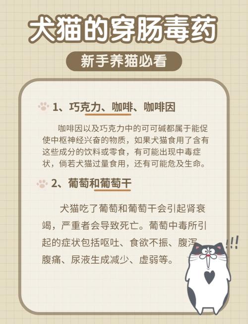 对猫狗有毒的常见人类食物实拍图