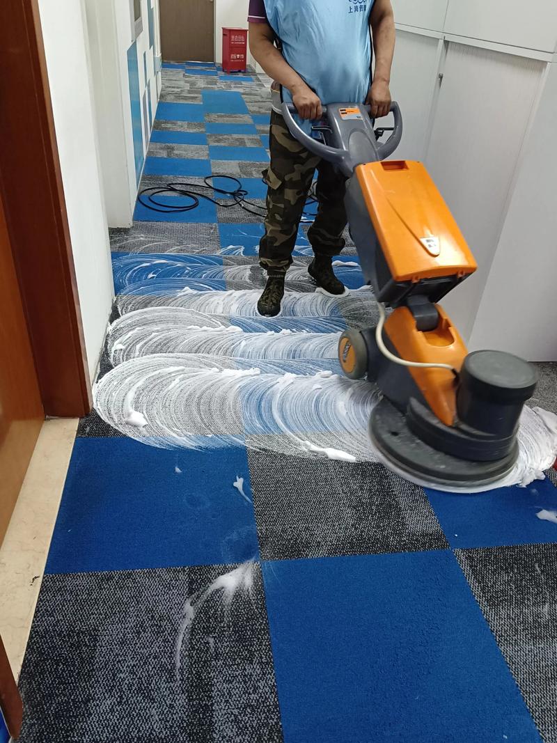 带HEPA滤网的吸尘器清洁地毯内部示意图