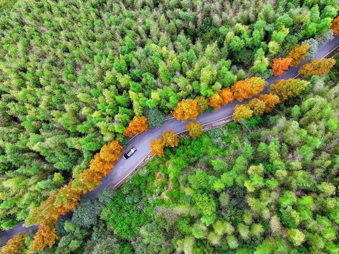 浙南松阳杨家堂秋季盘山自驾游公路