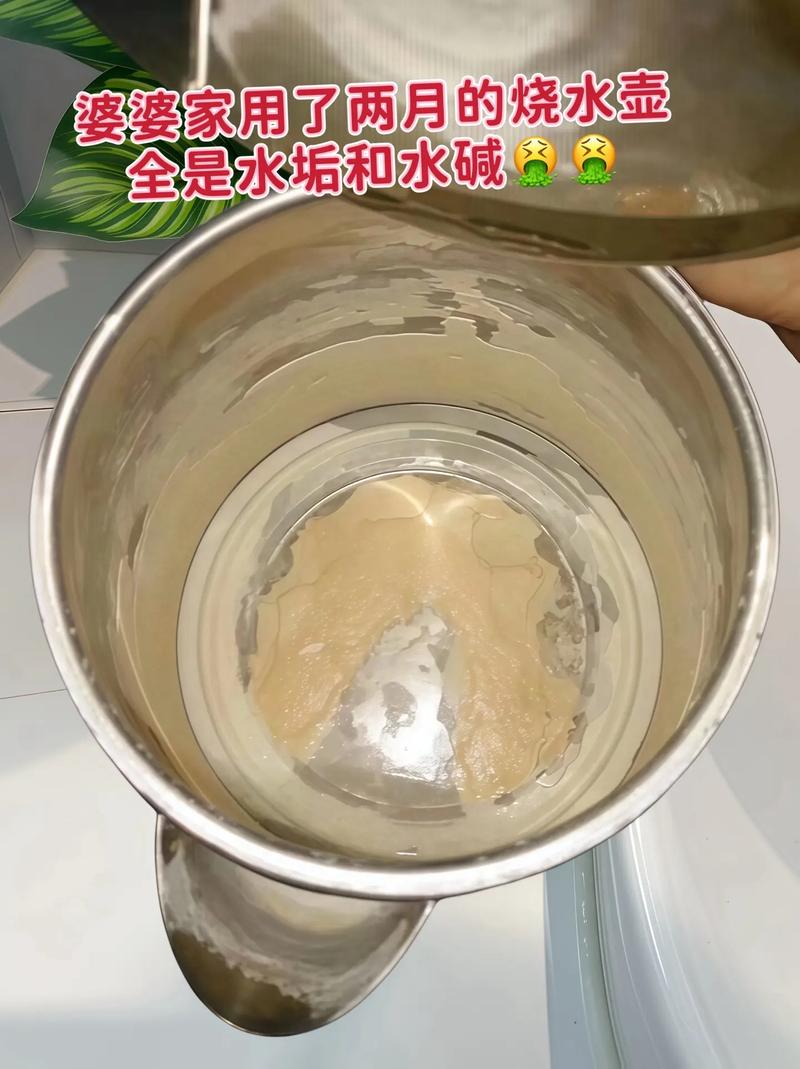 柠檬酸清洗滤水壶效果对比图