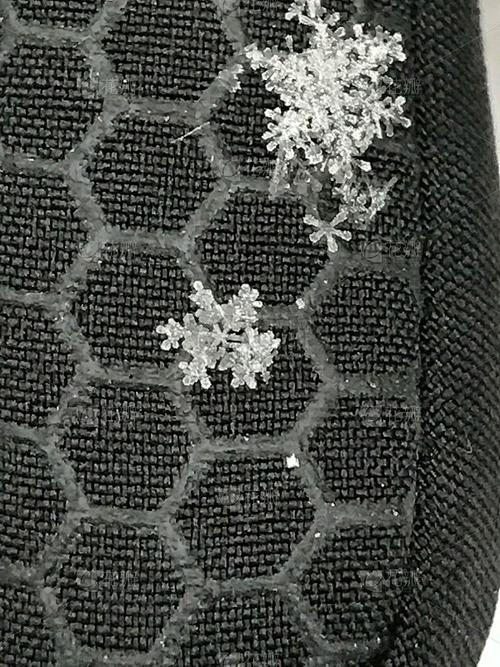 雪花:冰晶里的宇宙与人类为何着迷-因为所以