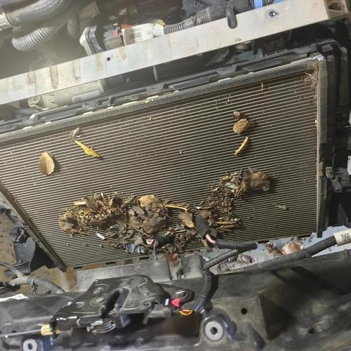 汽车拆下中网后糊满杨絮飞虫的冷凝器