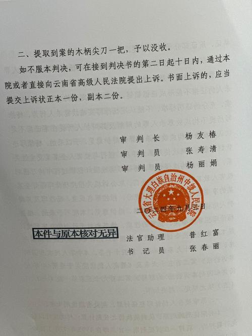 法院医疗纠纷著作权侵权判决书实拍