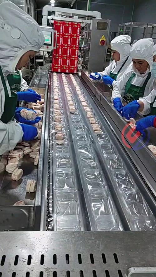 食品厂车间工人排查故障真空包装机漏封问题的实拍图
