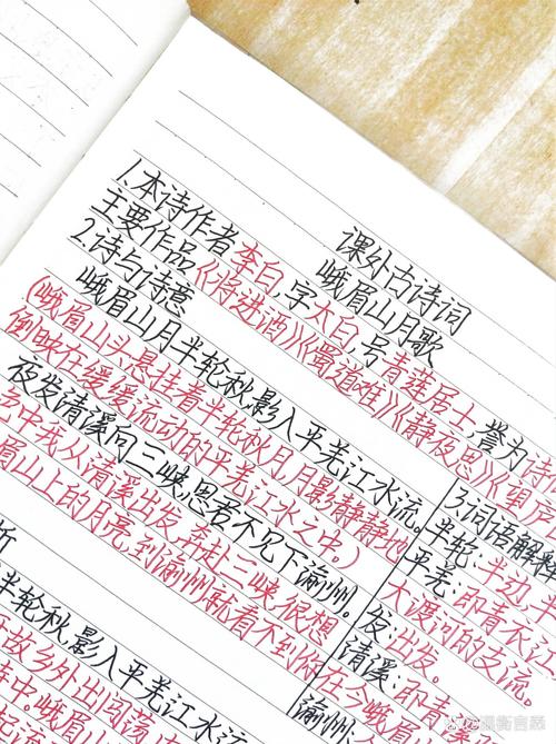 初中语文作业本上学生手写的古诗阅读感受被红笔打叉的特写