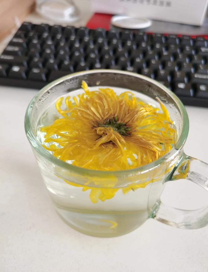 办公室窗边晒着太阳的带粗陶杯垫的菊花茶