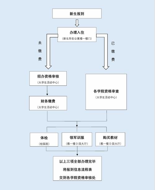 毕业生线上办理电子报到证操作流程图