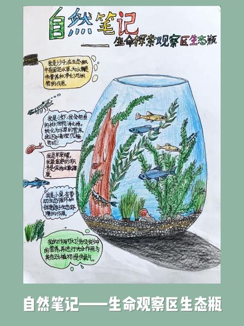 儿童手绘淡水生态观察记录笔记本