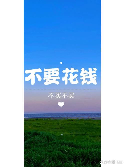 别为没用的功能多花钱