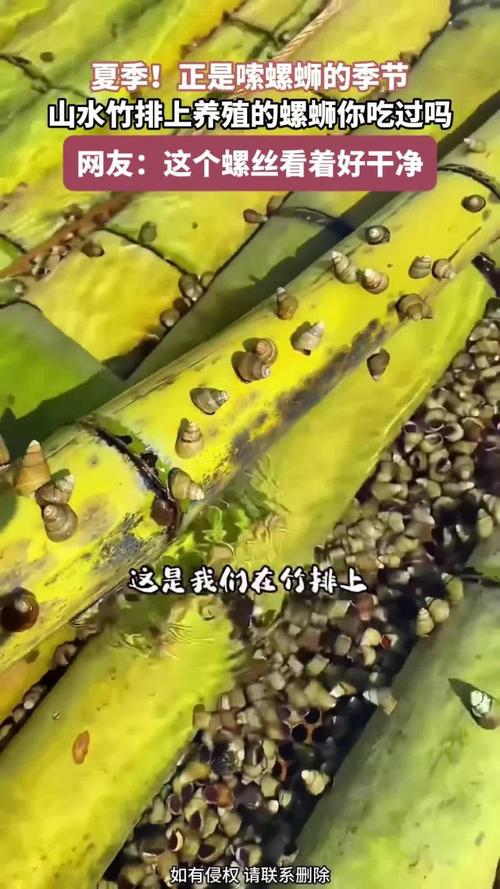 山水养出来的味道，两地居然都好吃到跺脚
