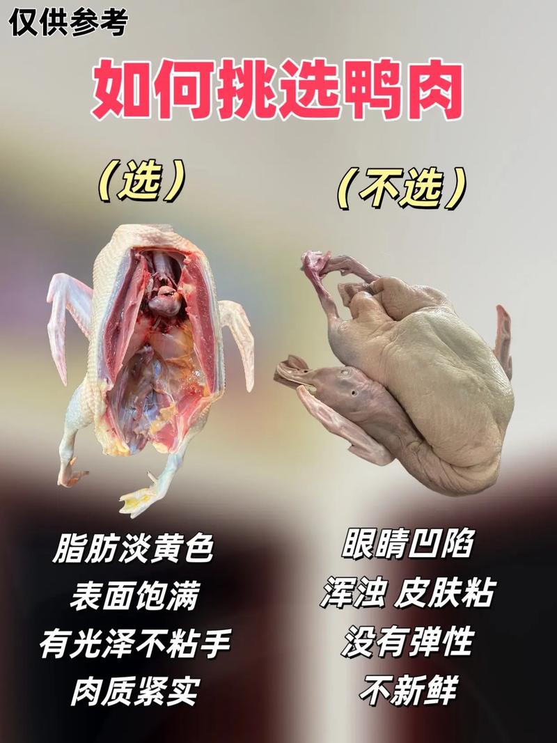 鸡同鸭讲是创新催化剂