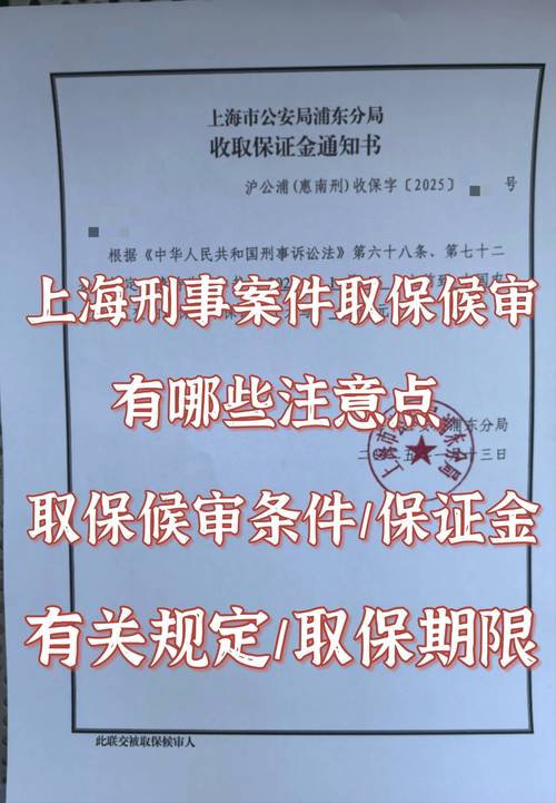 取保候审保证金收据样本