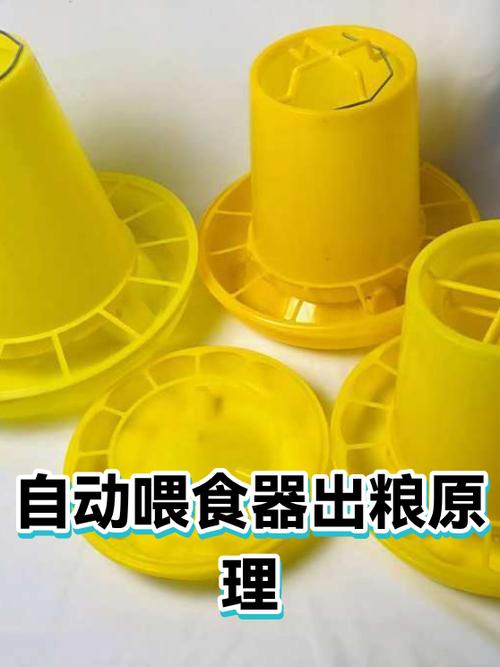 拆开的狗狗自动喂食器内部出粮口积霉的实拍图