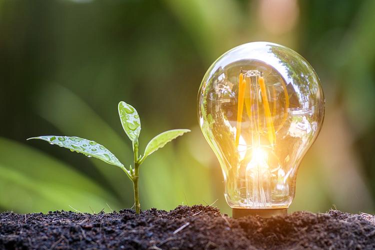 💡 别再以为种点树就是绿色校园了