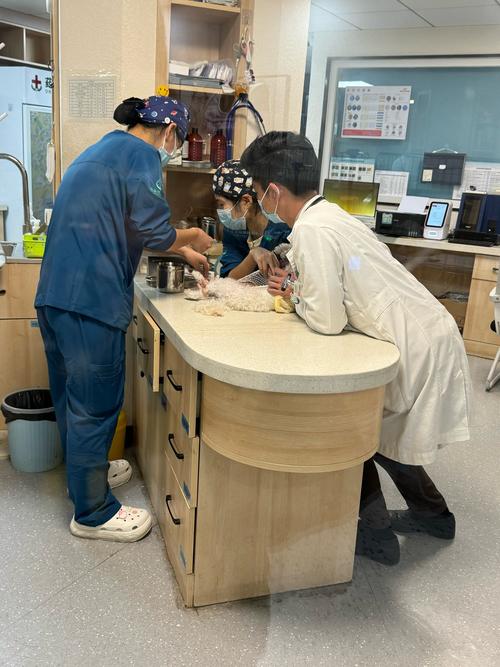宠物医院候诊区主人拎着处方粮袋互相交流