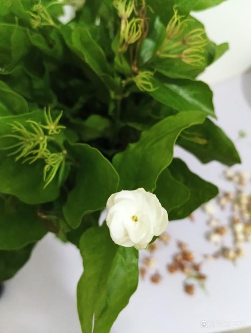 买之前花十分钟就能查清楚