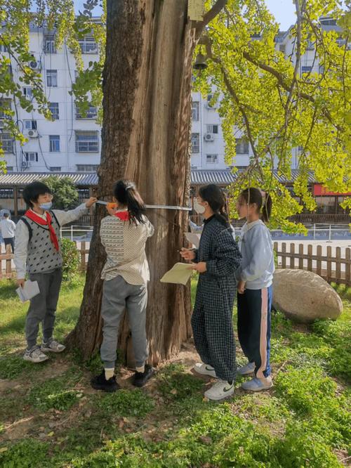 小学学生路边观察树木实践记录场景