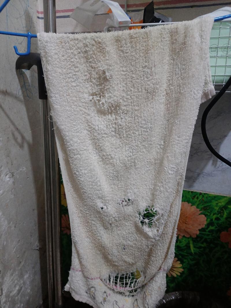 使用三个月后长出霉点的旧毛巾