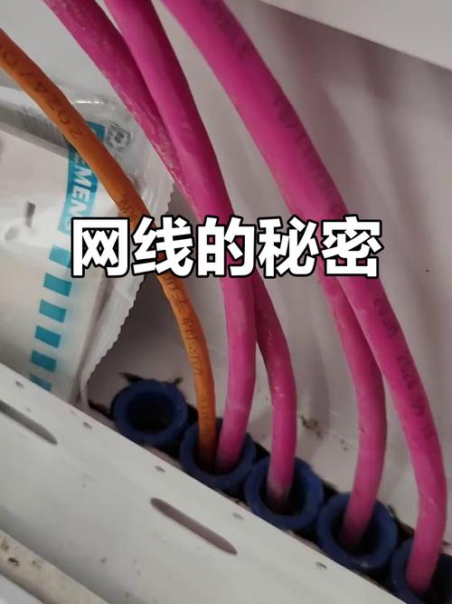 一根网线能改变命运吗?