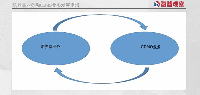 进口替代的风口下，藏着没人愿意说的坑