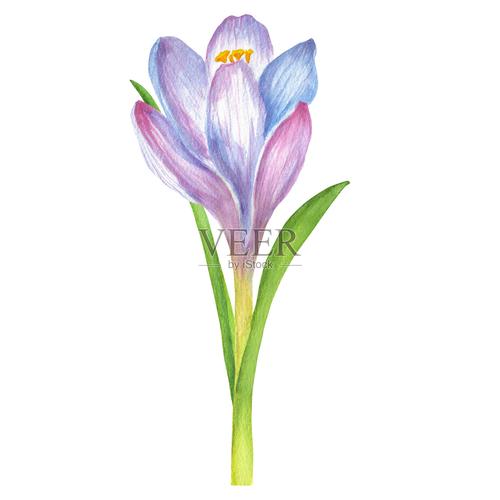 儿童手绘的无刻度彩色时间流程贴画