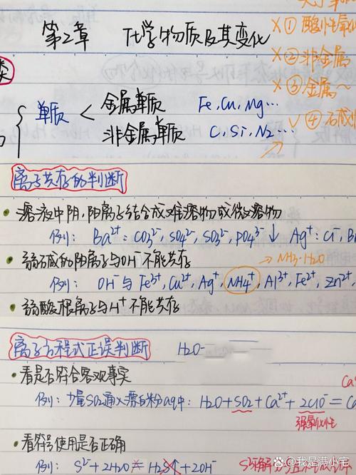 高中化学离子共存习题手写草稿纸