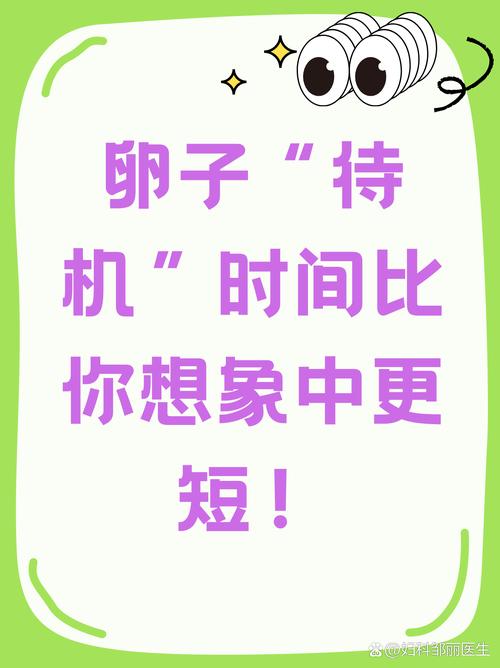 时间,比你想象中更短