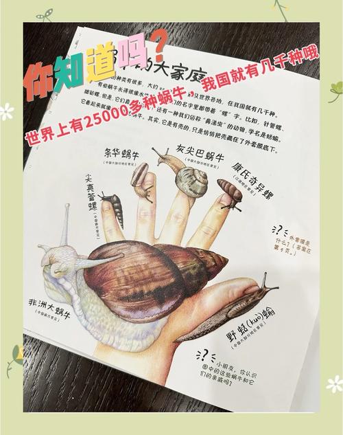 中学生在学校开放日展示自己做的蜗牛观察生物展板