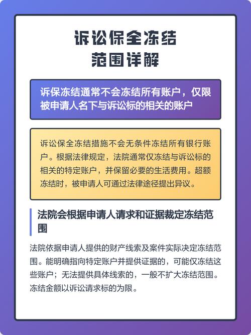 诉讼中财产保全资产冻结范围示例图