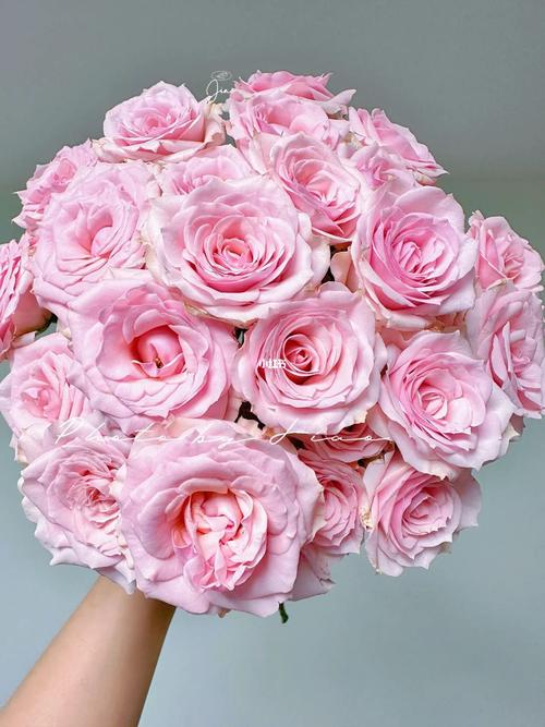 伴娘手腕上佩戴的粉色多头玫瑰腕花松脱尴尬瞬间
