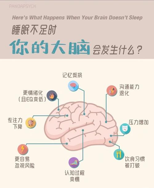 慢性失眠大脑对床的认知关联示意图