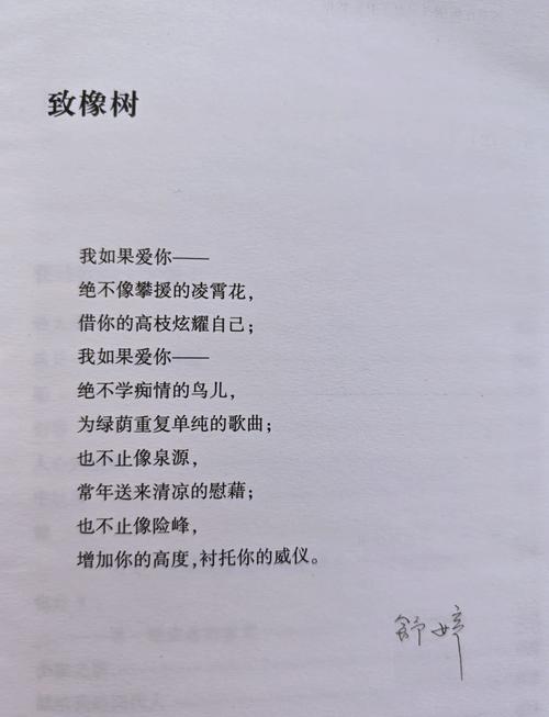 好的诗歌欣赏，最后都是读自己
