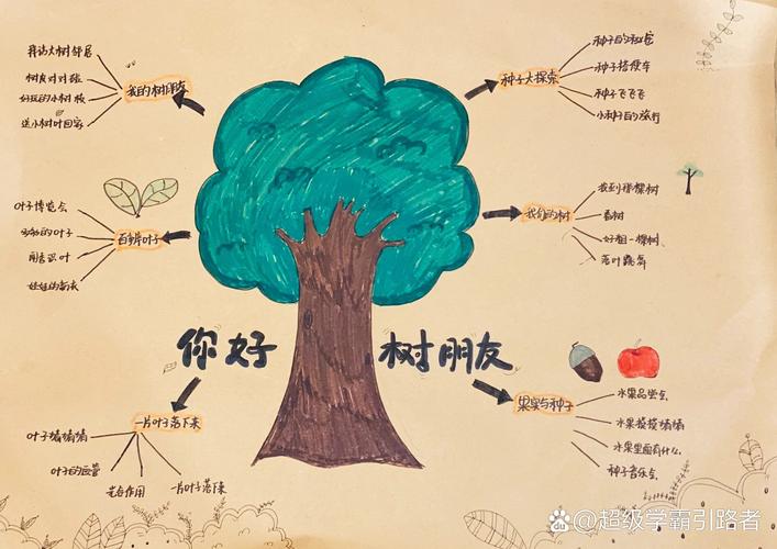 小学生手绘主题树预习提纲作品