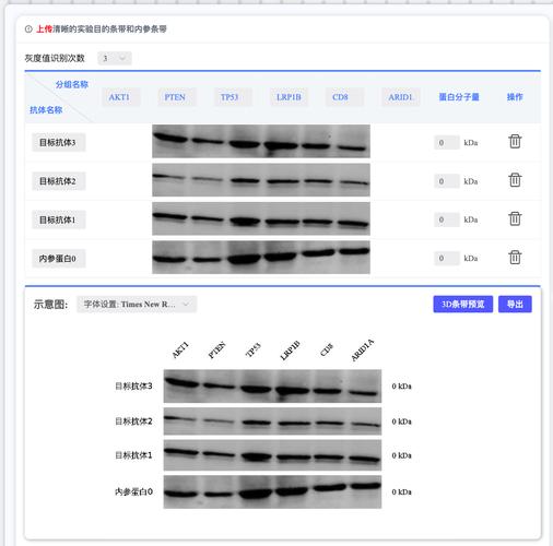 科研实验WB结果图带关键参数命名的文件列表截图