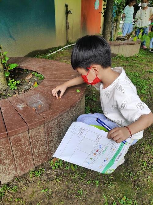 小学走廊花坛边蹲看蚂蚁的小学生