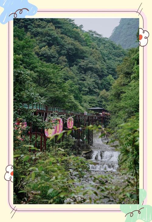 金佛山：悬崖上的避暑山庄，跟猴子抢西瓜
